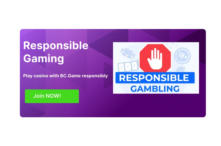 Responsible gambling with BC Game